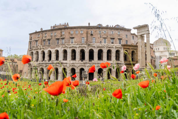 Spring flowers blooming in Rome with clear skies and historic landmarks in the background.