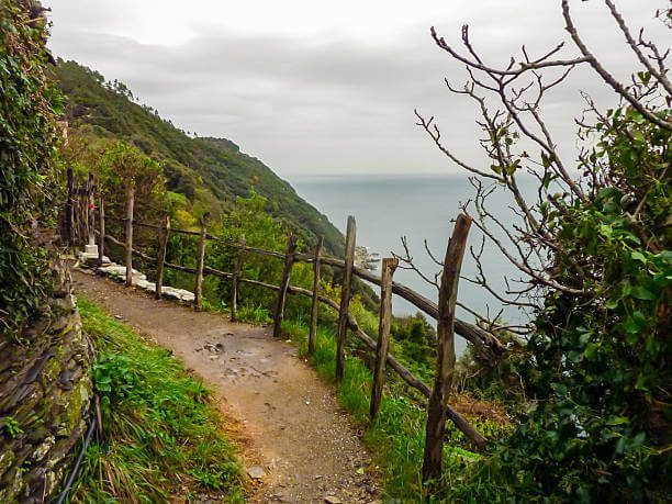 Cinque Terre hiking trail sea views
