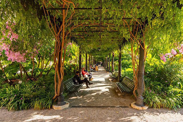 San Marco neighborhood near Botanical Gardens with children