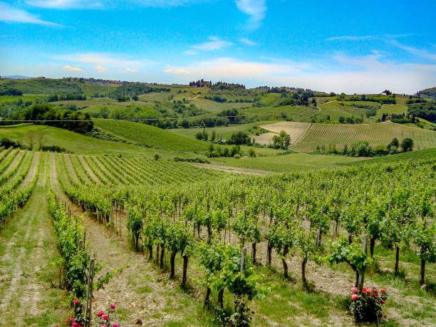 Scenic view of Tuscan hills and vineyards from a window seat on the Venice to Rome train