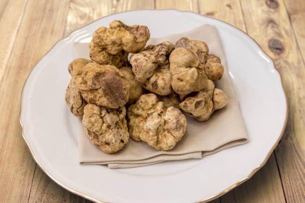 Alba truffle festival market with white truffles on wooden tables and warm harvest atmosphere
