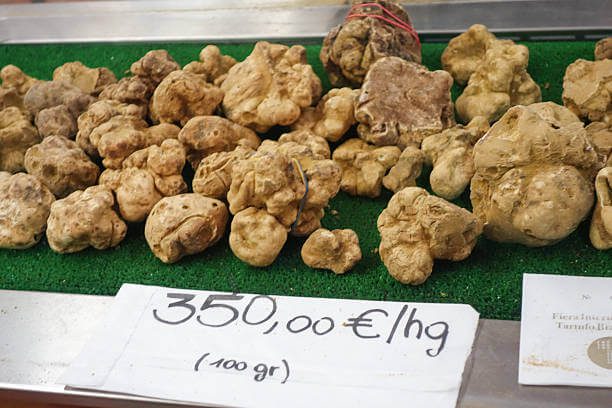  Festivals in Italy in October Alba White Truffle Festival market with white truffles