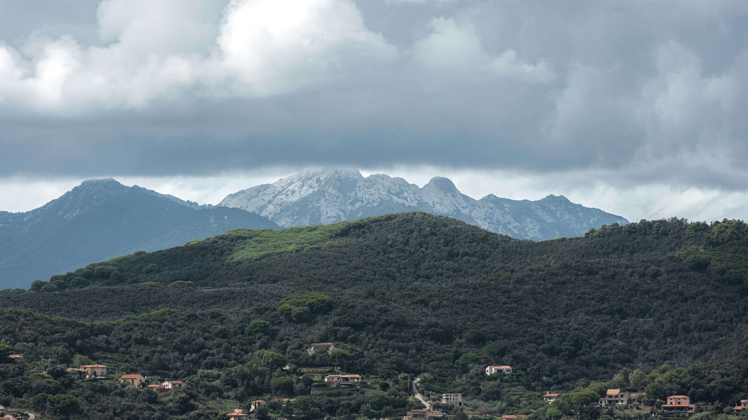 Scenic countryside views during a Rome to Venice high-speed train journey.