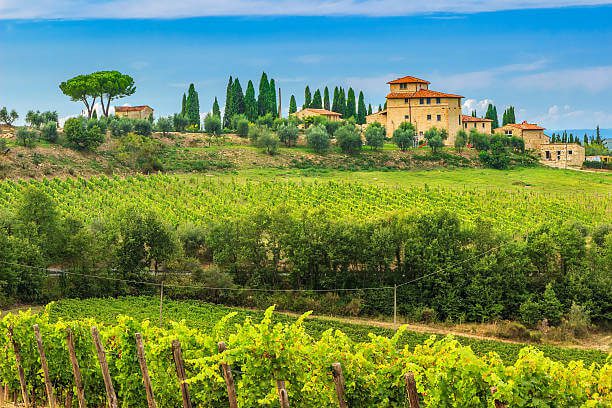 Tuscany vineyards in October during harvest season vivid red and gold grapevines on rolling hills near Chianti