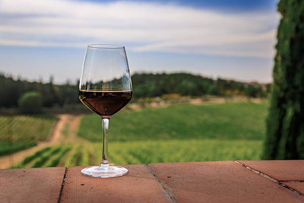 4 days in Florence for solo travelers small group wine tasting at a Chianti Tuscany vineyard