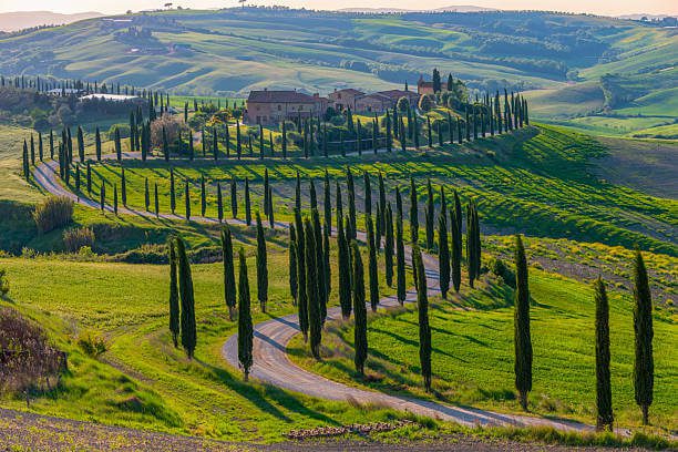 How many days in Florence and Tuscany Tuscan countryside Val d'Orcia with rolling hills cypress trees