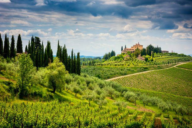 Tuscany day trip from Florence Italy in October Itinerary Chianti vineyard rows