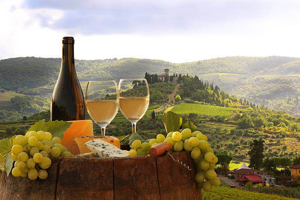 Chianti wine country day trip from Florence solo small group wine tasting at a Tuscan vineyard